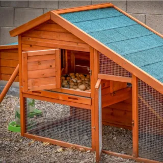 Gardiun KSU12888 - Gallinero de madera Iowa