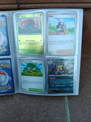 Álbum de cartas Pokémon variadas