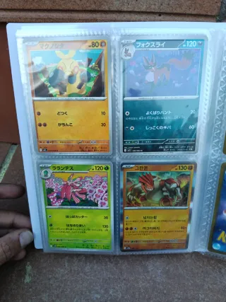 Álbum de cartas Pokémon variadas
