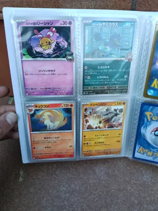 Álbum de cartas Pokémon variadas