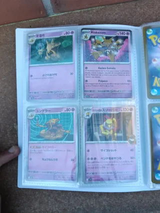 Álbum de cartas Pokémon variadas