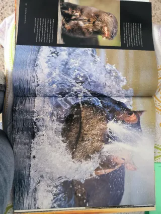 AFRICA: LAS MARAVILLAS DE UN CONTINENTE ASOMBROSO