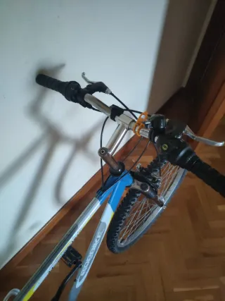 Bicicleta de Montaña adulto