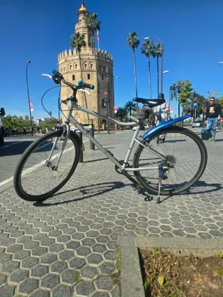 Bicicleta Btwin XL Gris