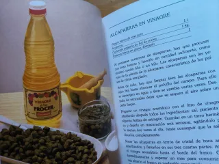 " EL VINAGRE "
