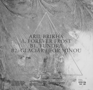 Vinilo Techno Aril Brikha - Forever Frost