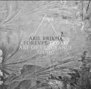 Vinilo Techno Aril Brikha - Forever Frost