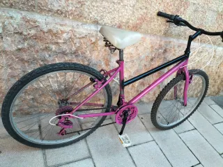 Bicicleta Morada Chica