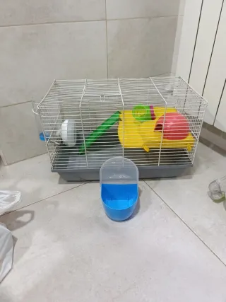 Jaula con iglú !! ( regalo tuper azul para comida