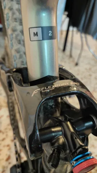 Bici MTB 29" Giant Anthem Advanced Carbono