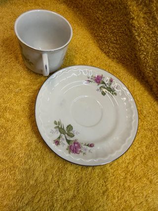 Juego de café de porcelana con rosas