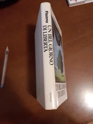 UN BEL GIORNO DI LIBERTÀ