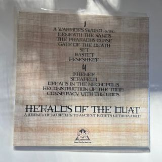 Decayed / Caixão / Cemetery Lights Vinil