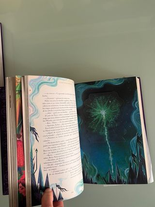 Harry Potter y el cáliz de fuego (Harry Potter ...