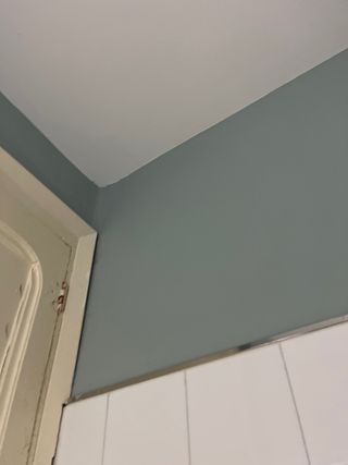 Pintura Juno Verde agua Antimoho 25