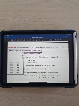 Stylus iPad Profesional - Rechazo de Palma (NUEVO)
