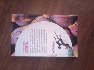Libro infantil El caso de la casa maldita