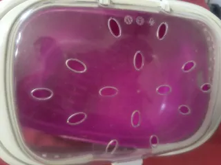 Transportín para mascotas rosa y blanco