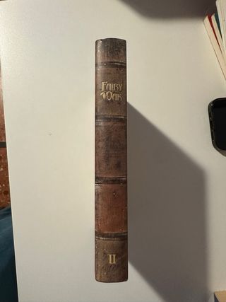 Libro Fairy Oak el encanto de la oscuridad