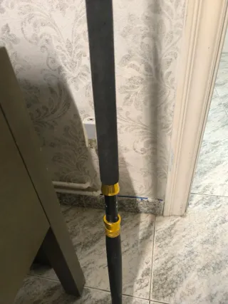 Carrete Shimano Tyrnos 30 lbrs + Caña Pesca