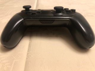 Nintendo Switch Controller