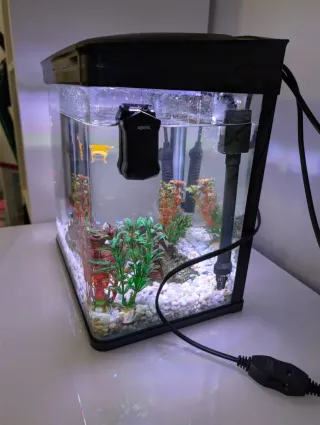 Acuario y decoración 14L  Nobleza SOLO UN AÑO!!