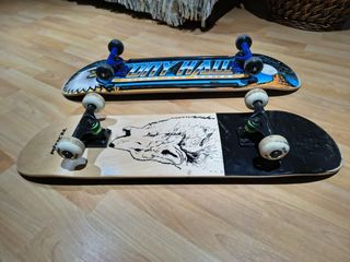 Offerta 2 tavole da skate