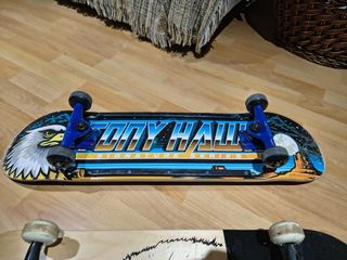 Offerta 2 tavole da skate