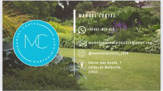 Manitas a domicilio 641014415