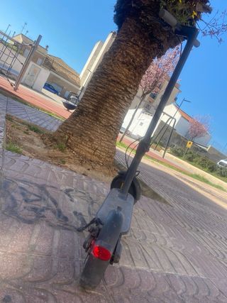 Patinete Eléctrico Xiaomi