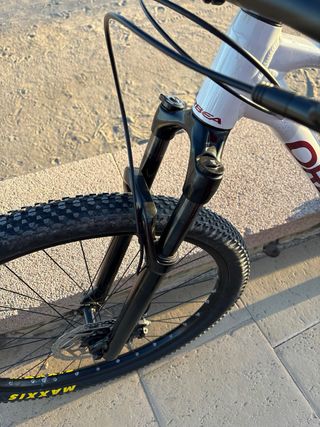 Bici Orbea Alma 29
