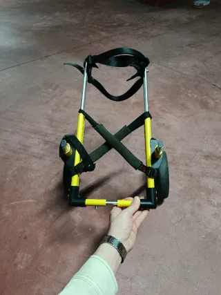 Sedia a rotelle per cani regolabile con imbracature migliorate