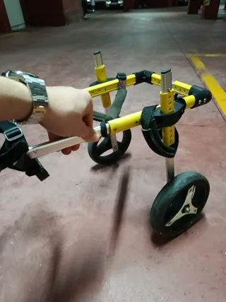 Sedia a rotelle per cani regolabile con imbracature migliorate