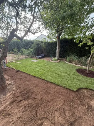 Jardinería y paisajismo