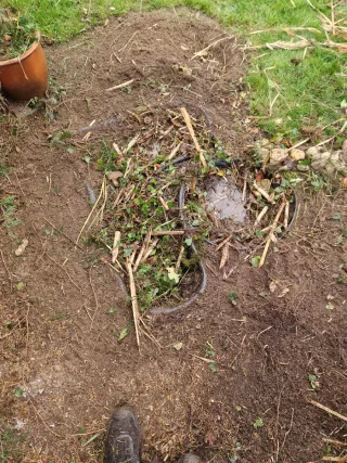 Jardinería y paisajismo