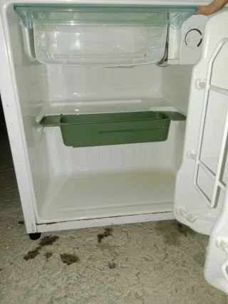 Mini Frigorífico LG con Congelador