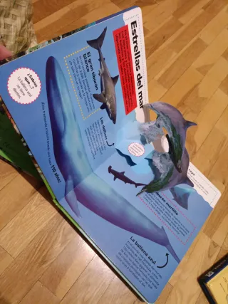 Animales y océanos