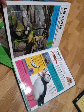 Animales y océanos