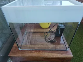 Acuario 23L más filtro Optimus 200