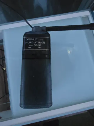 Acuario 23L más filtro Optimus 200