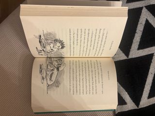 La increíble historia de... El chico del millón...