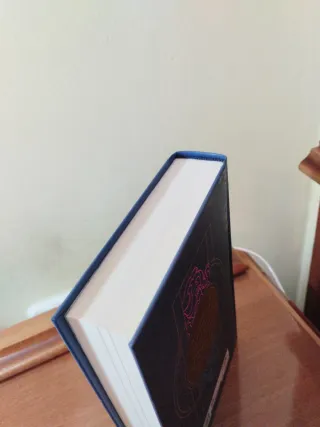 Yumi y el pintor de pesadillas (edición limitad...