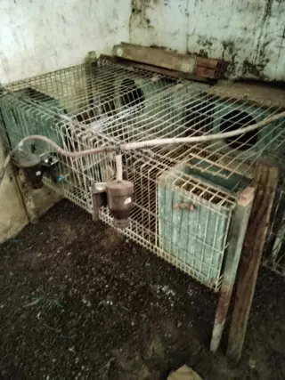 Jaulas para conejos metálicas 150€ las 4