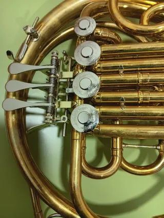 Trompa SE Shires Q20