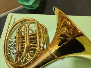 Trompa SE Shires Q20