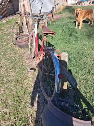 Bicicleta Antigua Roja con Cesta