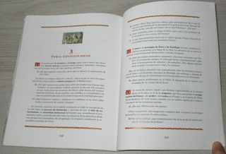 Las aventuras de Ulises (Clasicos adaptados)