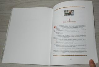 Las aventuras de Ulises (Clasicos adaptados)