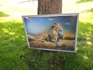 Vendo cuadro nuevo puzzle rey león, Coruña, 10 €.