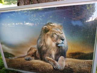 Vendo cuadro nuevo puzzle rey león, Coruña, 10 €.